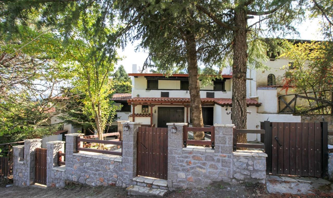 Dandy Villas Agoriani - Chalet Ivoni - Fireplace Επτάλοφος Εξωτερικό φωτογραφία